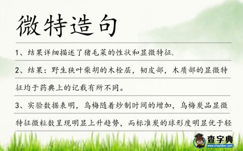 微特造句