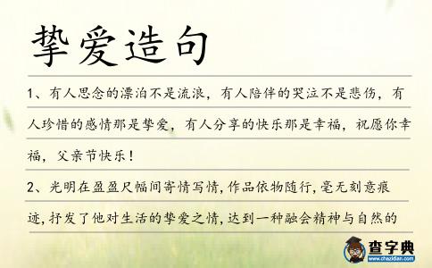 摯愛造句