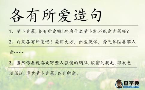 各有所愛造句