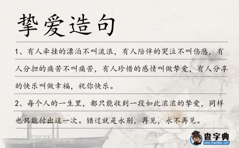 摯愛造句