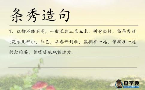 條秀造句