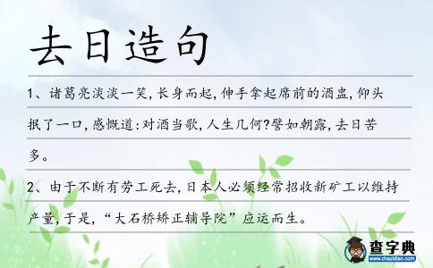 去日造句