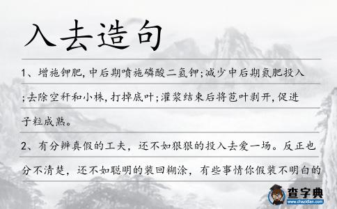 入去造句