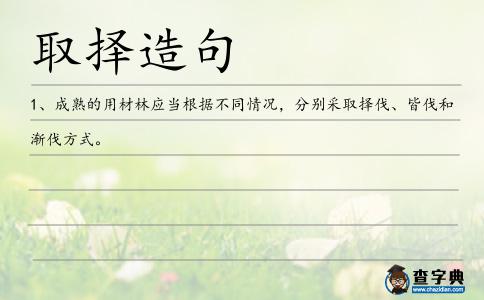 取擇造句