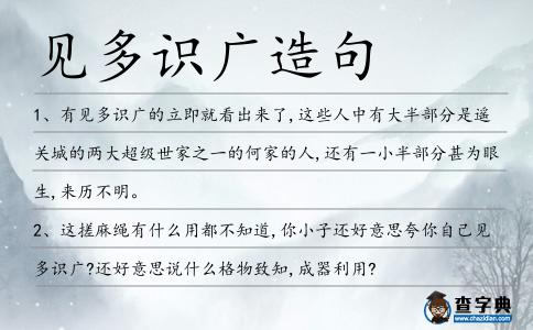見多識廣造句