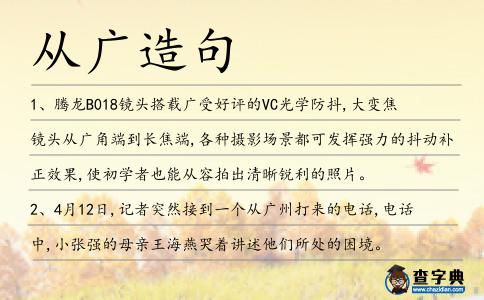從廣造句