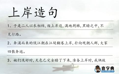 上岸造句