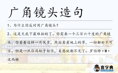廣角鏡頭造句