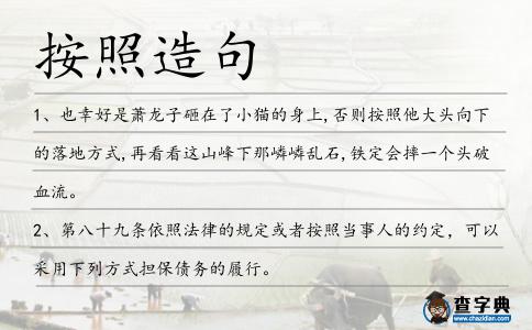 按照造句