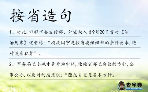 按省造句