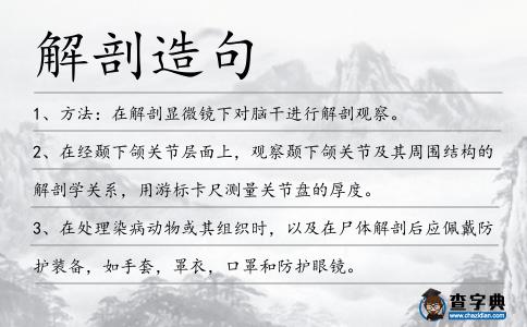 解剖造句