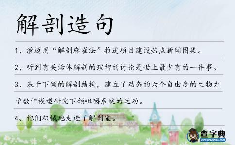解剖造句