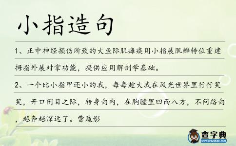小指造句