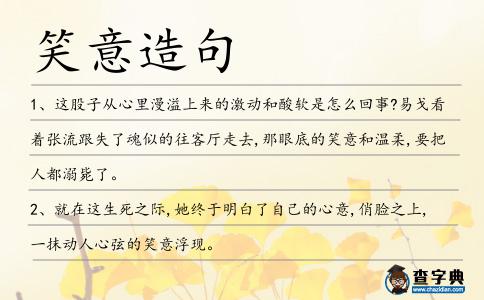 笑意造句