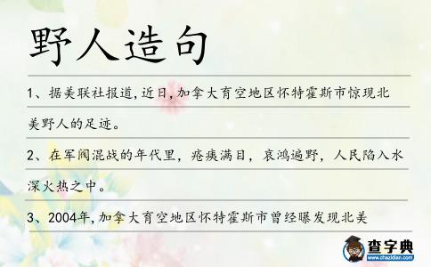 野人造句