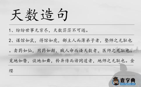 天數造句