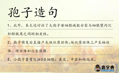 孢子造句