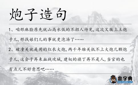 炮子造句