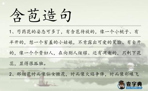 含苞造句