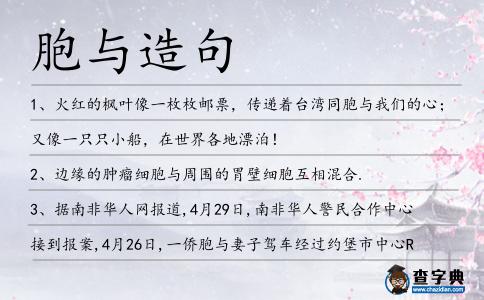 胞與造句