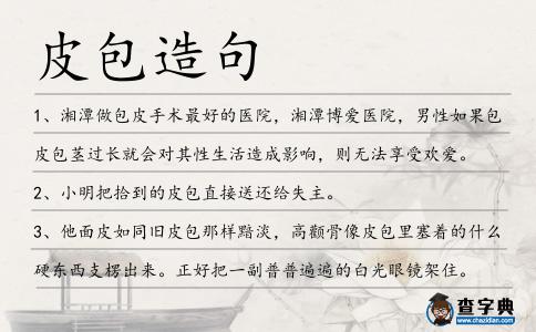皮包造句