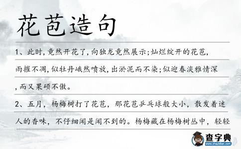 花苞造句