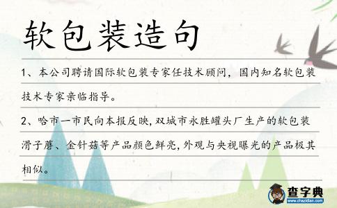 軟包裝造句