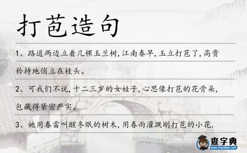 打苞造句