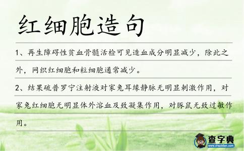 紅細胞造句