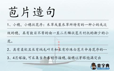 苞片造句