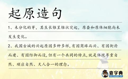 起原造句