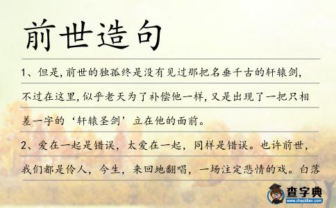 前世造句