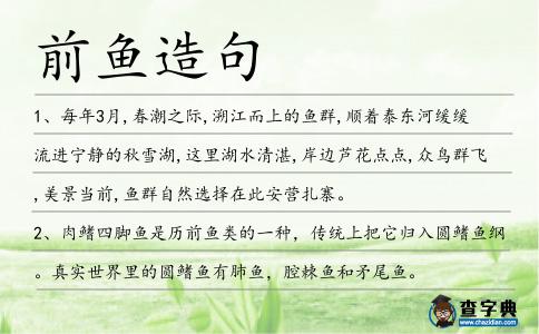 前魚造句