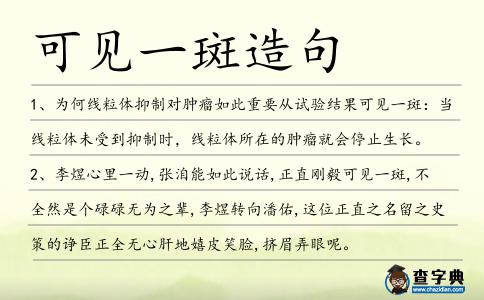 可見一斑造句