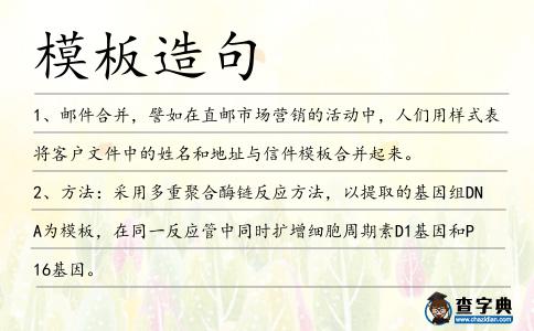模板造句