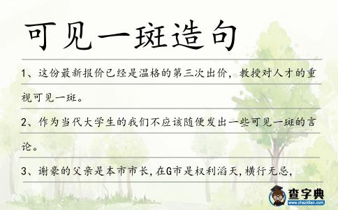 可見一斑造句