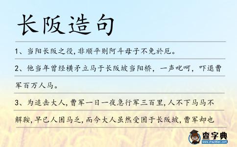 長阪造句
