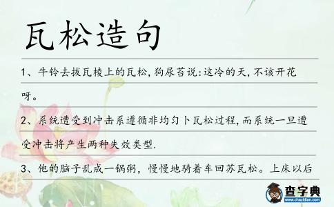 瓦松造句