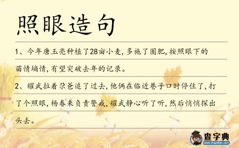 照眼造句