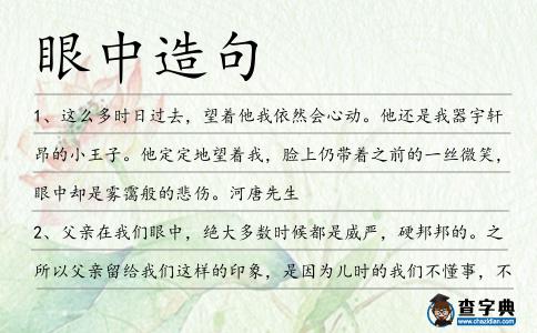 眼中造句