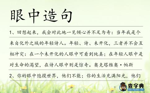 眼中造句