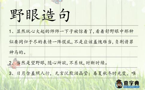 野眼造句