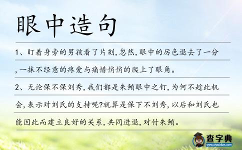 眼中造句