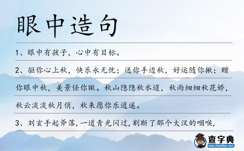 眼中造句