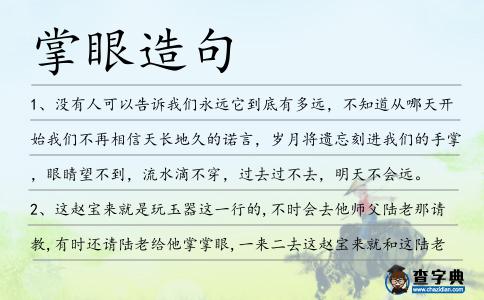 掌眼造句