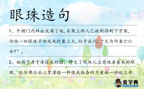 眼珠造句