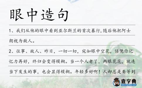 眼中造句