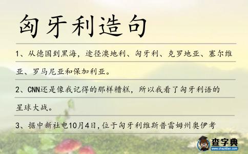匈牙利造句