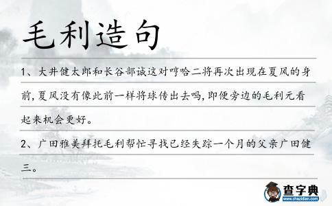 毛利造句