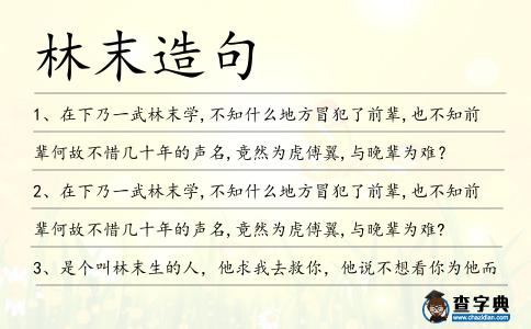 林末造句